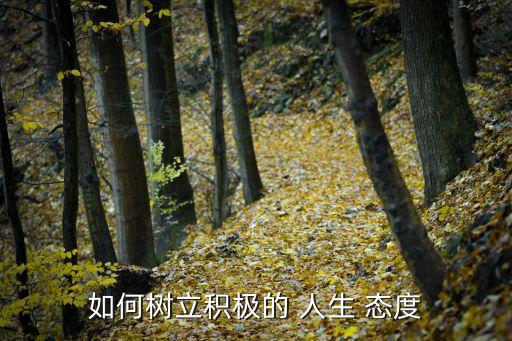 積極的人生態度,如何學會積極向上人生態度和樂觀向上心態