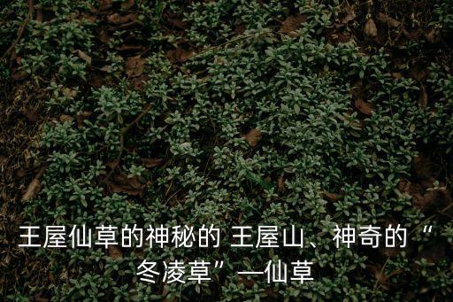 濟源王屋山,王屋山景區最為神秘古老神秘王屋老街依舊冷清