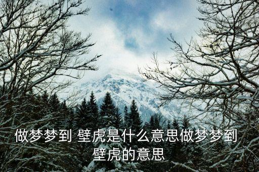 做夢夢到 壁虎是什么意思做夢夢到 壁虎的意思
