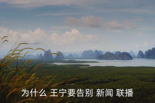 新聞聯(lián)播王寧,新聞聯(lián)播主播王寧離職屬于正常退休