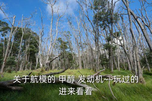 甲醇發動機,馬國航模甲醇發動機點火系統不同