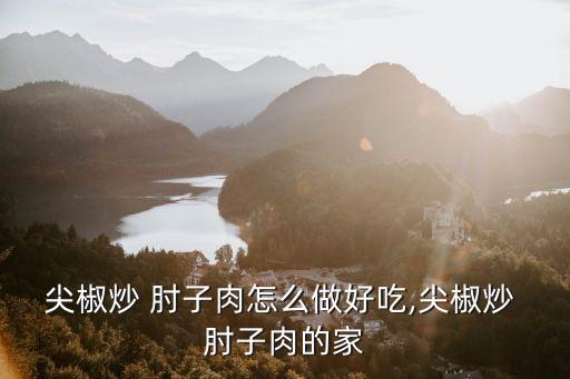 炒肘子肉,先炒肘子肉再炒洋蔥再切片肉