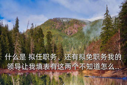 擬任,擬任鄉(xiāng)鎮(zhèn)政府正職是什么?