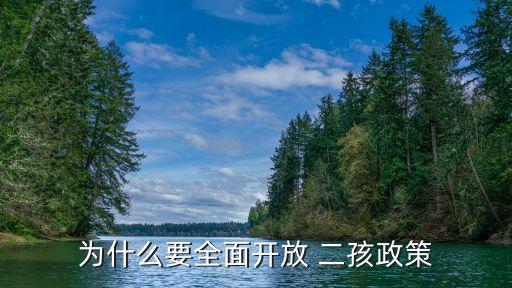 二孩,一孩和二孩之別法律分析