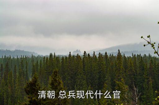 總兵,明清兩代軍隊(duì)稱為鎮(zhèn)總兵官名發(fā)了沒檔次