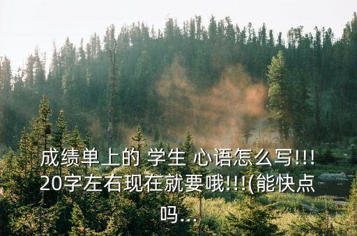 成績單上的 學生 心語怎么寫!!!20字左右現在就要哦!!!(能快點嗎...