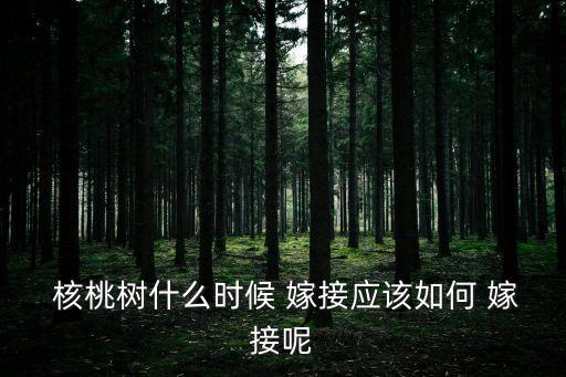  核桃樹什么時候 嫁接應(yīng)該如何 嫁接呢