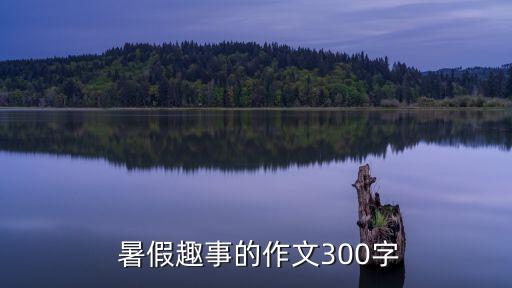 暑假有趣的事,玩老鷹捉小雞暑假作文300字
