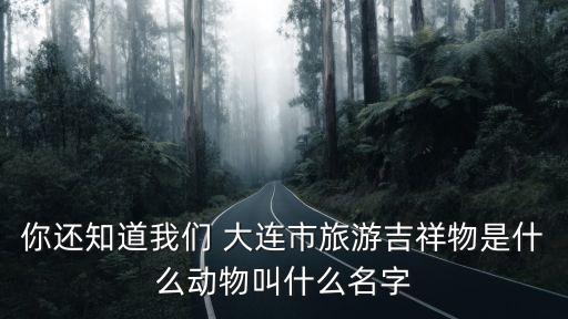 你還知道我們 大連市旅游吉祥物是什么動物叫什么名字