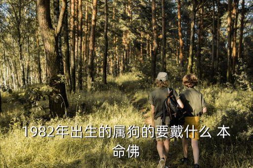 屬狗的本命佛,屬豬狗本命佛是阿彌陀佛屬馬人