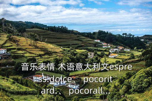 poco音樂術(shù)語,直播學(xué)堂（2）:弦樂器的演奏方式