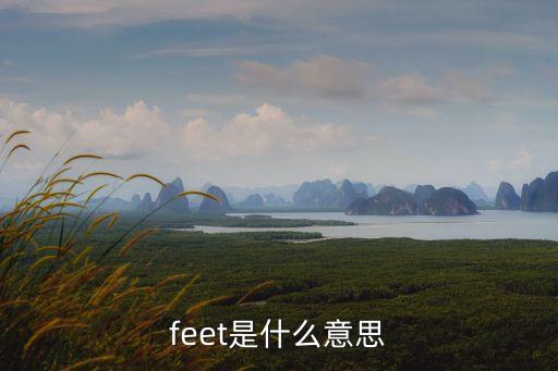 feet是什么意思