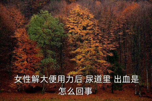  女性解大便用力后 尿道里 出血是怎么回事