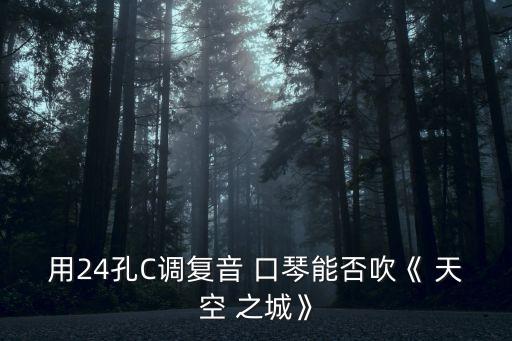 用24孔C調(diào)復(fù)音 口琴能否吹《 天空 之城》