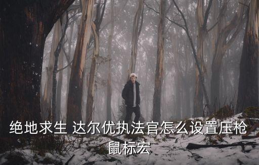 絕地求生 達爾優執法官怎么設置壓槍鼠標宏