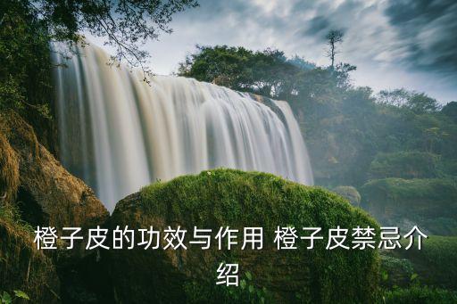 橙子皮的功效與作用,橙子樹皮的功效與作用:止渴健脾開胃
