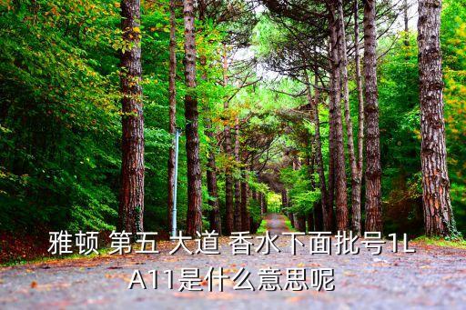 雅頓 第五 大道 香水下面批號(hào)1LA11是什么意思呢