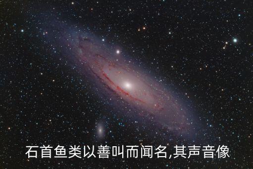 石首魚(yú),我國(guó)產(chǎn)石首魚(yú)魚(yú)肚有兩塊堅(jiān)硬石頭