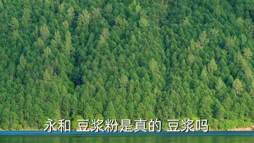 豆?jié){粉精,永和豆?jié){粉是真豆?jié){!原理與豆?jié){相同