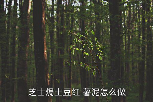  芝士焗土豆紅 薯泥怎么做