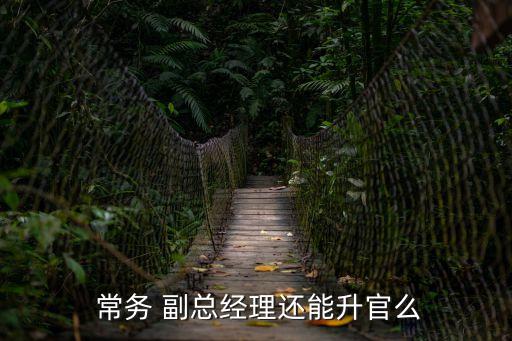 常務副總,常務副總經理有權決策分管幾項業務?
