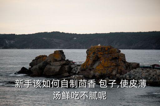 新手學做包子,包子粘貼教程（一）:先買面粉再用酵母