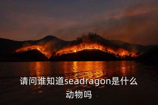 請問誰知道seadragon是什么動物嗎