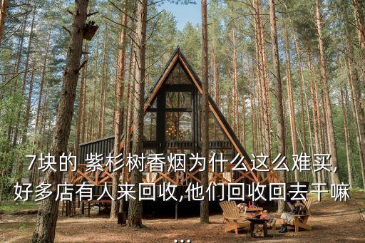 紫杉樹,廣州百百信息科技有限公司開發(fā)交友和虛擬商業(yè)游戲
