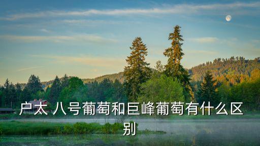  戶太 八號葡萄和巨峰葡萄有什么區別