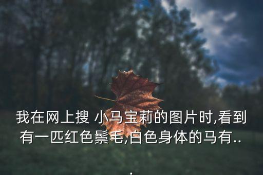 小馬圖片,勞倫創(chuàng)造小馬polly我將永遠(yuǎn)愛它