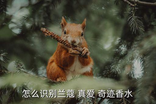 真愛奇跡,蘭蔻正品包裝精致玫瑰香味很難分辨