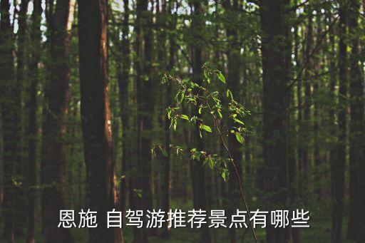 恩施自駕游攻略,湖北神農(nóng)溪發(fā)源于神農(nóng)架主峰流經(jīng)巴東縣