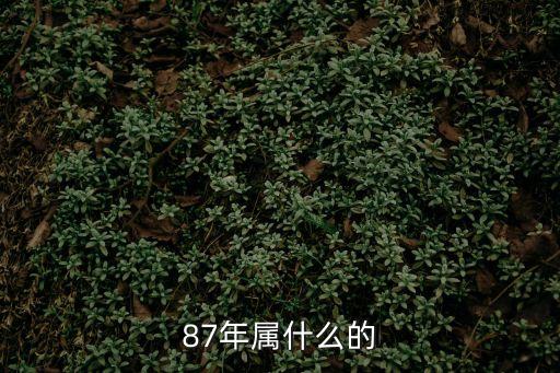 87屬什么生肖,你所屬的十二生肖
