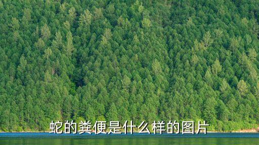 小蛇圖片,第二集:蛇吞蟾蜍比蟾蜍隱蔽優雅多