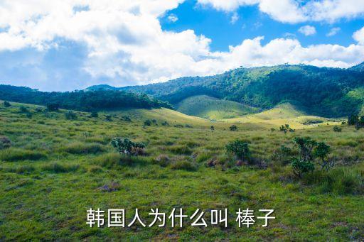 為什么叫棒子,朝鮮偽軍被戲稱為棒子