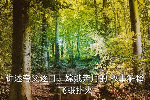 飛蛾撲火的故事,投票日倒數(shù)第二輪投票結(jié)果出爐