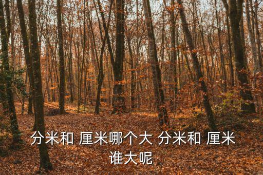  分米和 厘米哪個大 分米和 厘米誰大呢