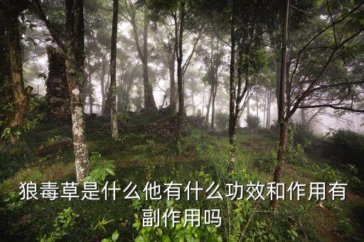 狼毒的功效與作用