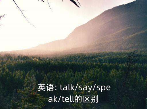  英語(yǔ): talk/say/speak/tell的區(qū)別