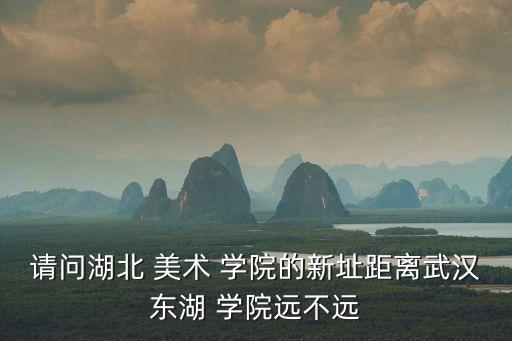 請(qǐng)問(wèn)湖北 美術(shù) 學(xué)院的新址距離武漢東湖 學(xué)院遠(yuǎn)不遠(yuǎn)