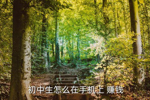 初中生怎么賺錢,第二批新人包括留學生回鄉創業發傳單賣舊貨