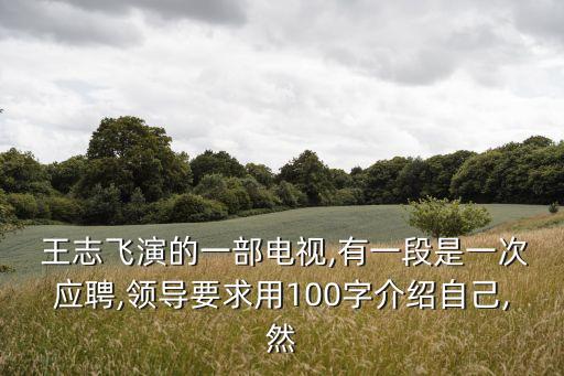 王志飛電視劇,王志飛出演電視劇《人證》好看嗎?