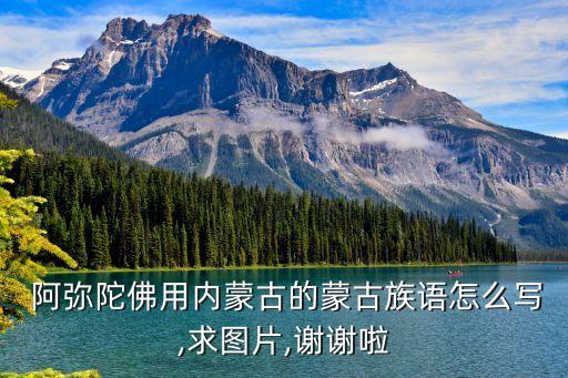 阿彌陀佛圖像,大雄寶殿現場直擊:一個人專注于思考就來報名!