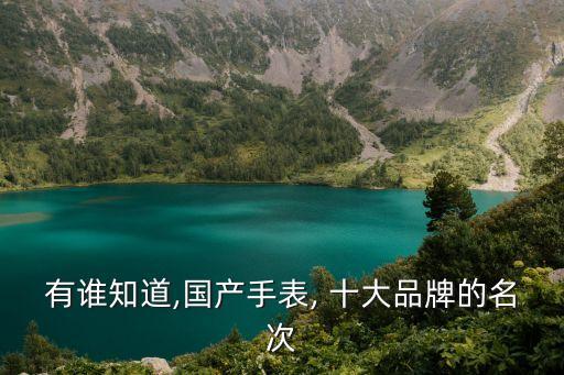 有誰知道,國產手表, 十大品牌的名次