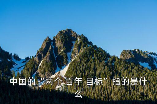 中國的“兩個 百年 目標”指的是什么
