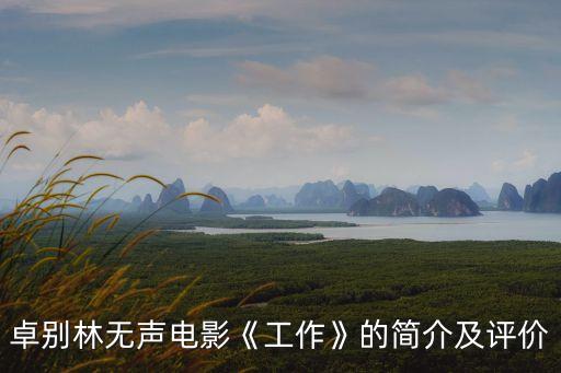 工作簡(jiǎn)介,我國(guó)曾制定《會(huì)計(jì)師工作規(guī)則》后廢止