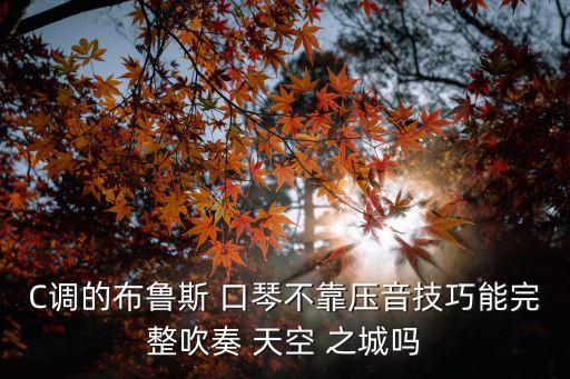 C調(diào)的布魯斯 口琴不靠壓音技巧能完整吹奏 天空 之城嗎