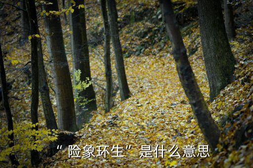 險象環生,《民國通俗演義》14回:奈險象環生，心驚膽戰