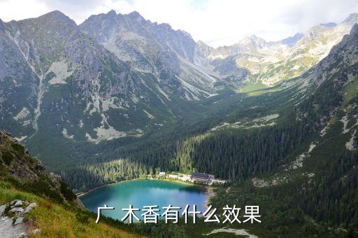 木香功效,木香泛指香料從海外進口有什么區別?