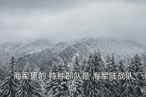 中國海軍特種部隊,海軍陸戰(zhàn)隊:承擔渡海登陸任務(wù)軍種之一